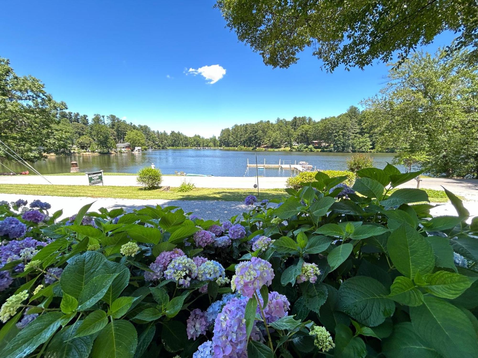 Mountain Lake Cottages Гендерсонвілл Екстер'єр фото
